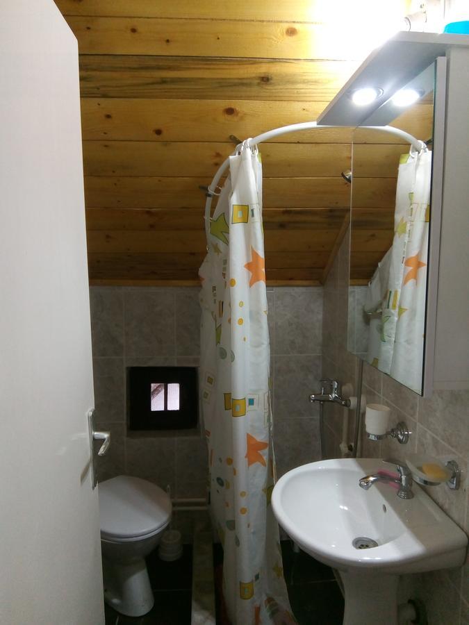 Apartman Mika Sokobanja Eksteriør billede